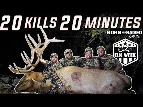 20 KILLS IN 20 MINUTES (ARCHERY ELK HUNTING)