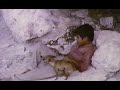 Disney S Pablo And The Dancing Chihuahua Part 2 Season 14 Ep 18