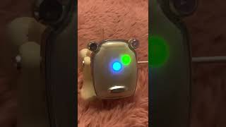 Idog And Icat vibing to Mesmerize