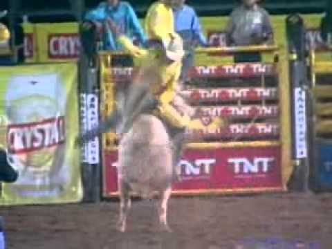 Fabricio Alves x Big Boy [Cia BF]