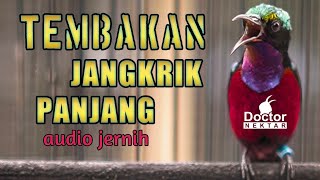 Download lagu TEMBAKAN JANGKRIK PANJANG UNTUK PANCINGAN SUARA KONIN GACOR AUDIO JERNIH mp3