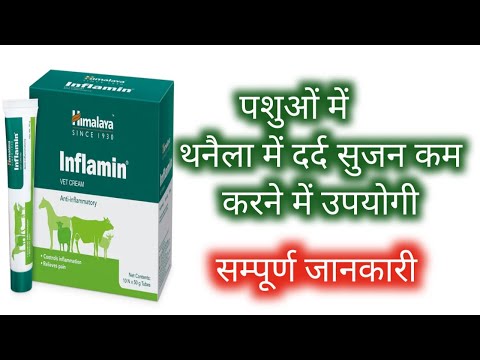 50gm inflamin vet cream, packaging type: piece