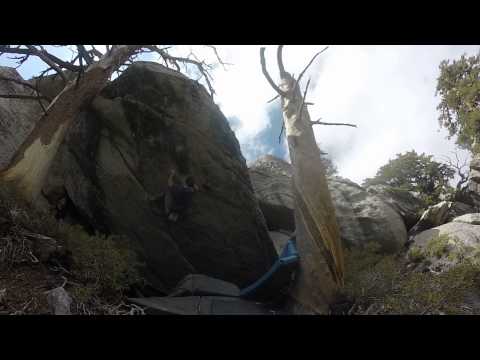 Attack of zee staph V9