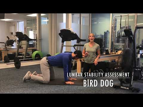 Lumbar Stability: Bird Dog Assessment