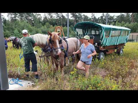 Friedenstreck Tag 16 und Tag 17