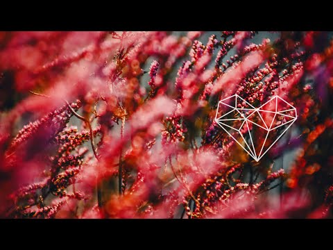 Renga Weh- Same Time feat.Natalie (Tim Engelhardt Remix) [Electronica / 3000 Grad Records]