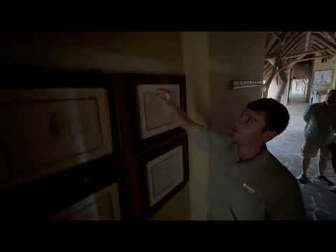 RHULANI INSIGHTS 229 - Foam nest frog in the lodge