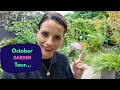 A Tour Around My October Garden Budget Family Garden