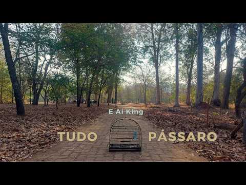 E Ai King - Tudo Pássaro