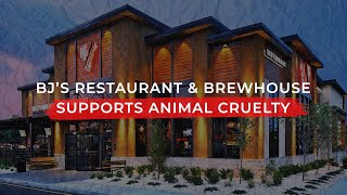 BJ's Restaurant & Brewhouse is hiding a dirty secret 👀