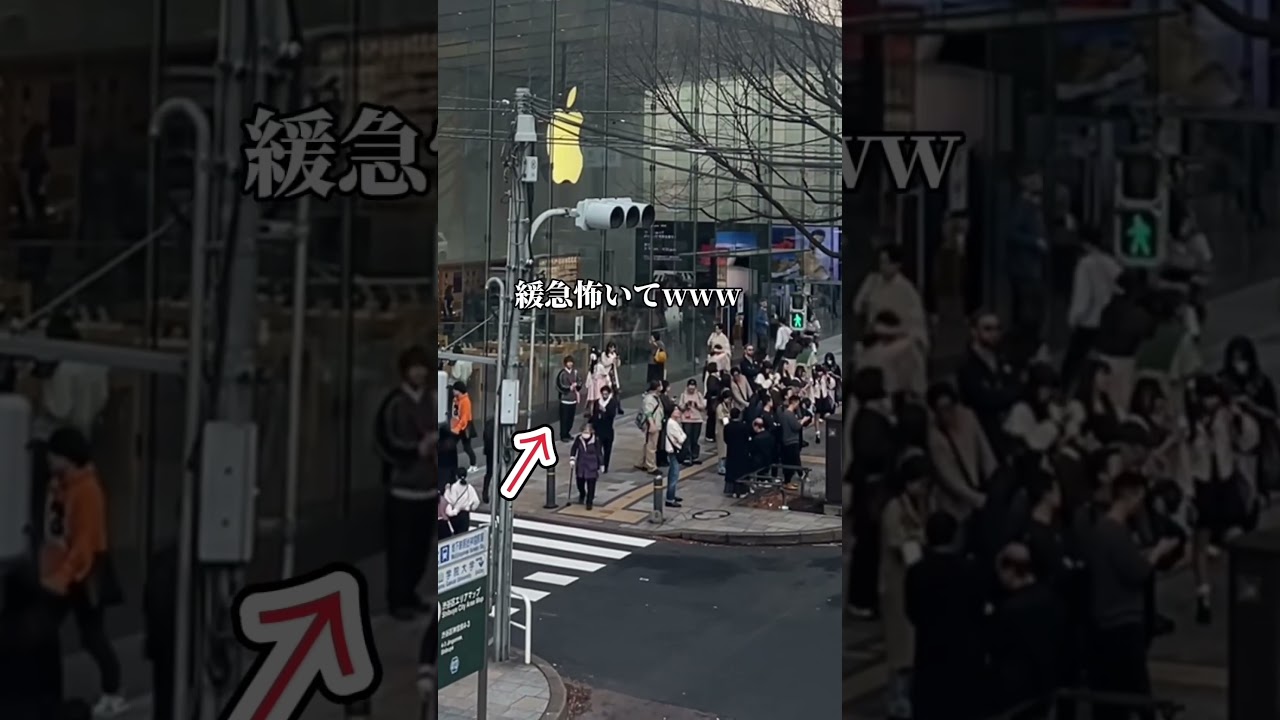 この兄妹の待ち合わせが特殊すぎるwwww