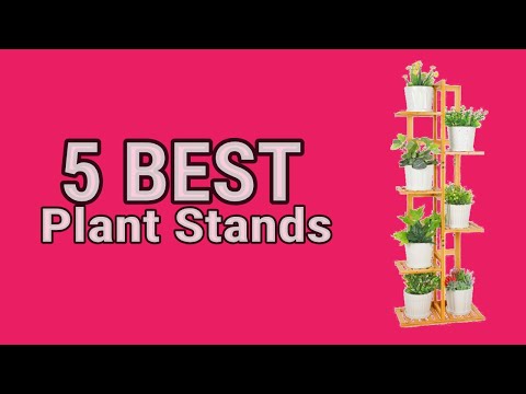 5 Best Plant Stands in 2023
