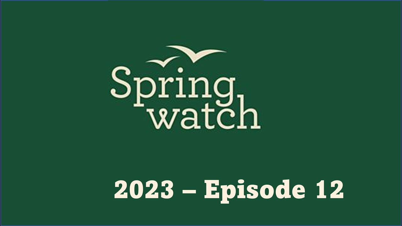 Springwatch 2023  Episode 12