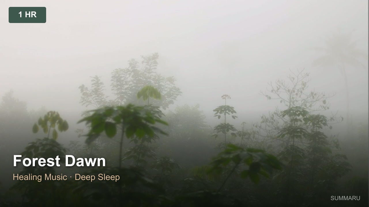 Forest Dawn | 1-Hour Healing Music for Deep Sleep & Meditation