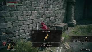 【ELDEN RING】今日もエルデン！【エルデン リング】#8