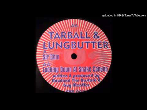 Tarball & Lungbutter - Looking Down At Snake Canyon (Acid Techno 1999)
