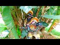 OMWANCHI INGANCHETE By Mr Ongengo