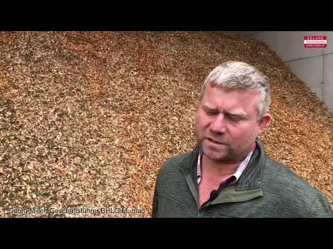 Welche Unterschiede weisen frisches, ausgedampftes und aktiv getrocknetes Material auf?