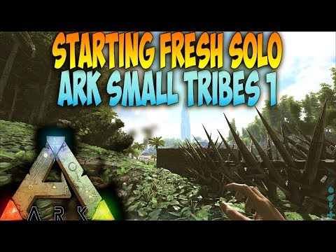 Starting Fresh - Solo Ark Small Tribes Servers 1
