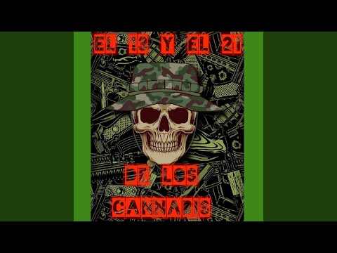 El 13 y el 21 de los Cannabis