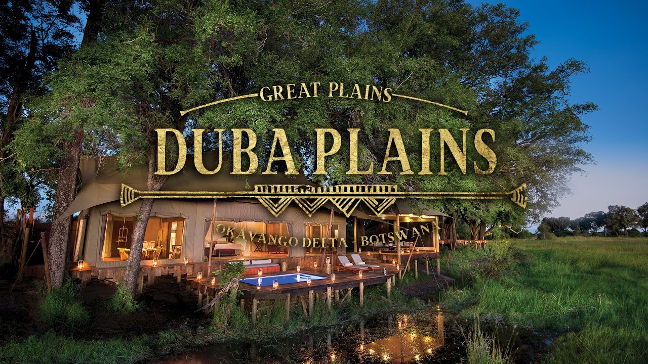Duba Plains Camp