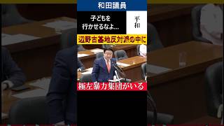 【2026年5月8日法務委員会より】辺野古基地反対運動をしている中に今もそんな人たちが？参政党和田政宗議員が追及