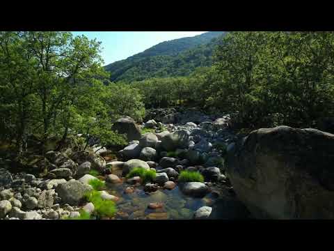 Vereda del Puerto de Candeleda (Parque Regional Sierra de Gredos- PR-AV 46 - Ávila)