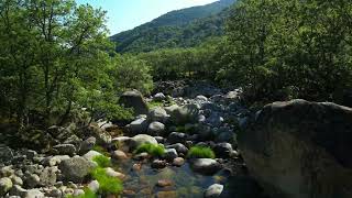Vereda del Puerto de Candeleda (Parque Regional Sierra de Gredos- PR-AV 46 - Ávila)