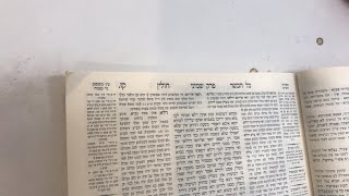 דף יומי חולין דף 107 מאת ה' אלי סטפנסקי