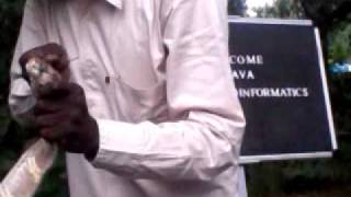 Paambu Vaava - Snake Awareness 3 of 3