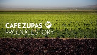 Cafe Zupas: Our Produce Story