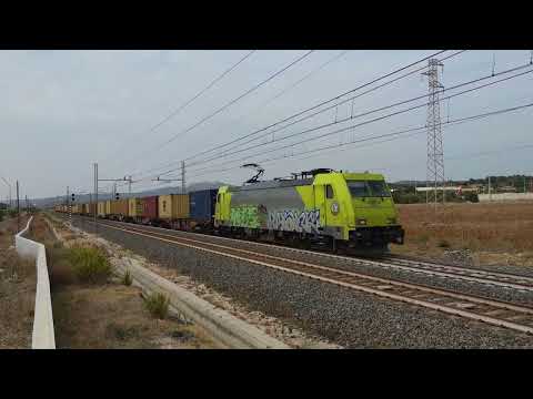 TC Bologna - S. Ferdinando in transito oggi pomeriggio, con in testa la 483 di Alpha Trains