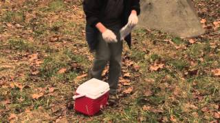 Cadaver Dog Solo Training