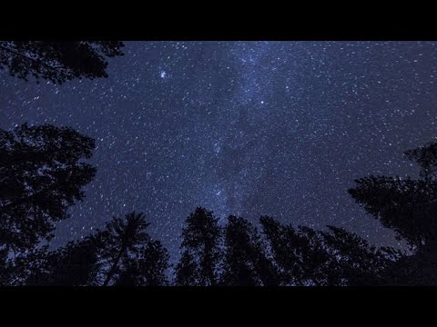 Alex Jean - Way Too Good (feat. Hulvey) (Lyric Video)