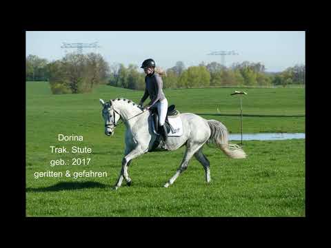 youtube preview