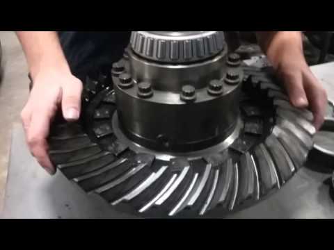 Spicer Rear Diff. Teardown