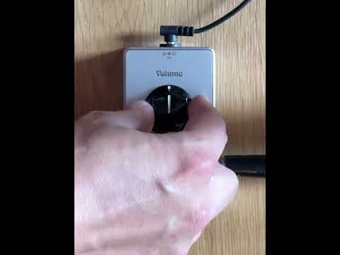 South Obolon FX Golden Lightning Fuzz image 9