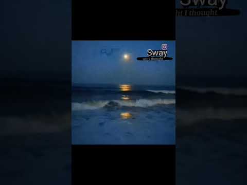 Thee Prime Supreme Wrld ft Sway Simon's -What I thought(Officel Audio)