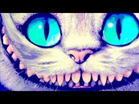 Arian Cook -Quantum Racer