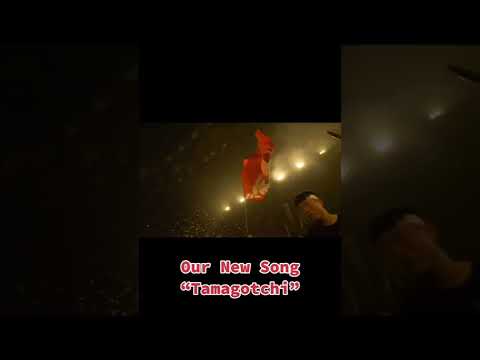 MOLOW on stage! Btw. our new Song “Tamagotchi” is out now 💣💥 #molow