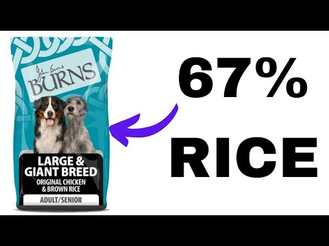 Burns Dry Dog Food Review #dogfood #dognutrition #dog