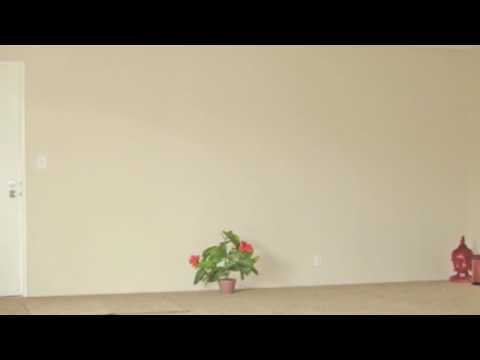 Union Plaza Apartments in Paramount, CA - ForRent.com