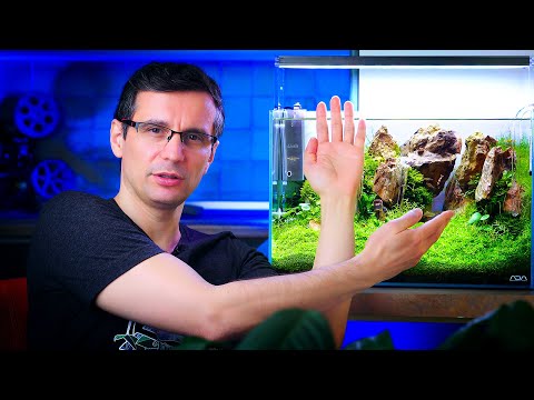 lehet-e tüskés hő a péniszen
