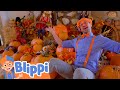 Check Out My Pumpkin Collection Blippi Shows For Kids Explore With Me