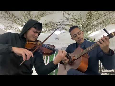 Hino 38 - Ó senhos és minha vida - cordas @segallaviolinist