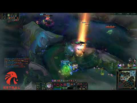 ASHE TOP ES COUNTER DE DARIUS