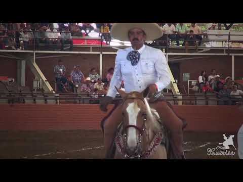 Piales 3 de 3 Enrique Ramirez Perez - #ArenaVallarta2017