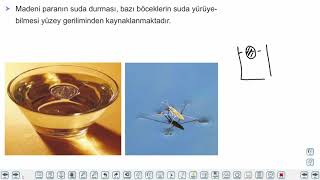 Eğitim Vadisi 9.Sınıf Fizik 6.Föy Yapışma ve Birbirini Tutma Konu Anlatım Videoları