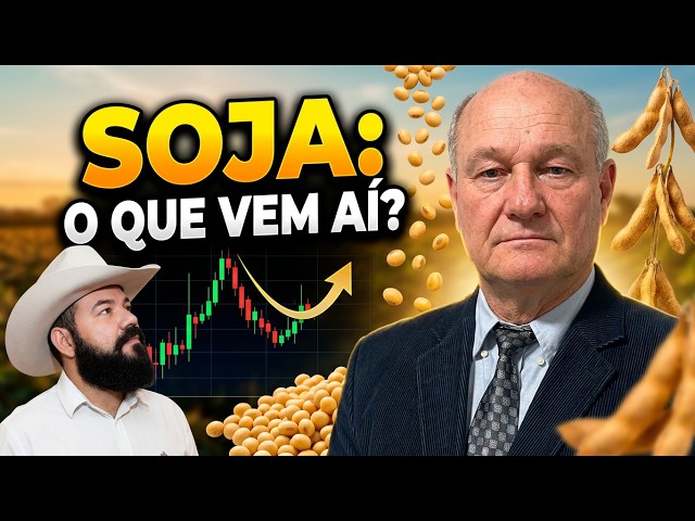 Preço da soja vai parar onde? Confira o cenário do milho e a surpresa na safra de sorgo!