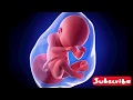 Strong Ruqya Pregnancy Issues Black Magic Ruqyah Shariah